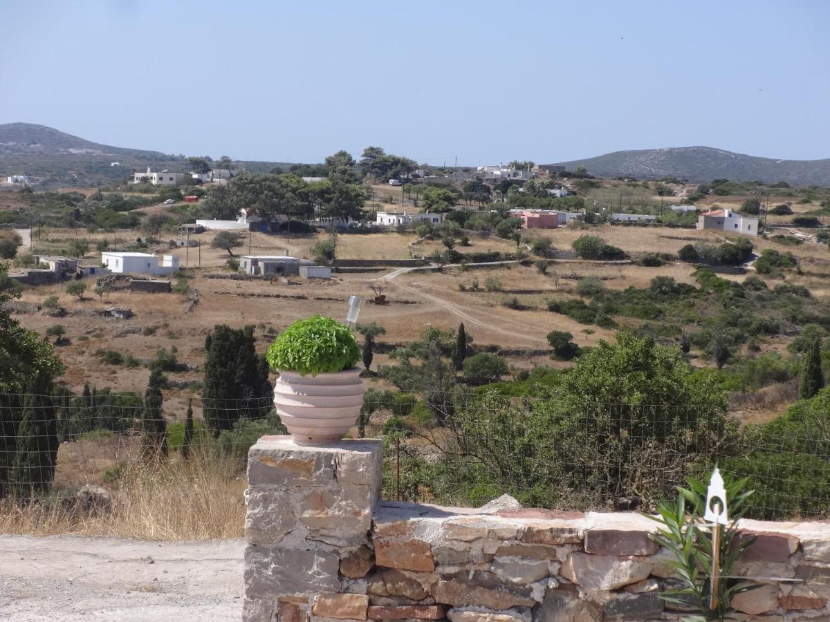 Theros House Agios Ilias  Εξωτερικό φωτογραφία