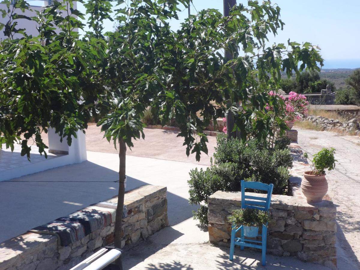 Theros House Agios Ilias  Εξωτερικό φωτογραφία
