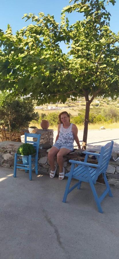 Theros House Agios Ilias  Εξωτερικό φωτογραφία