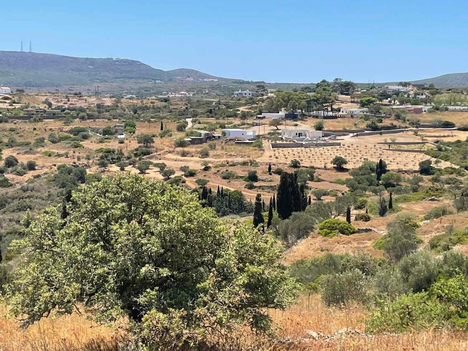Theros House Agios Ilias  Εξωτερικό φωτογραφία